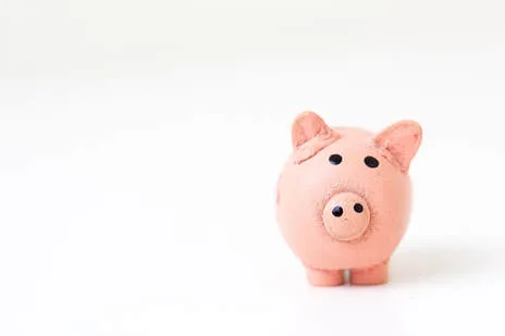 little pink pig on white background_plastering and rendering services_gk rend