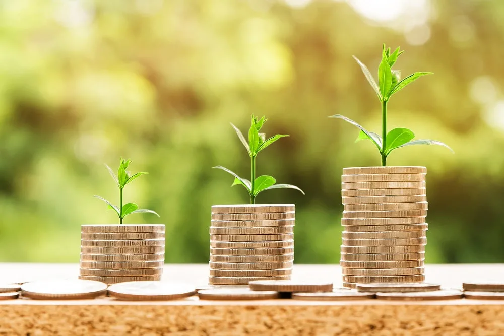 small plants growing on different levels of stacked pound coins_plastering and rendering services_gk rend